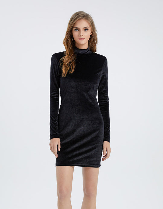표준 터틀넥 스키니 드레스
