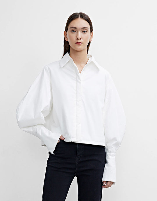 표준 셔츠 카라 패딩