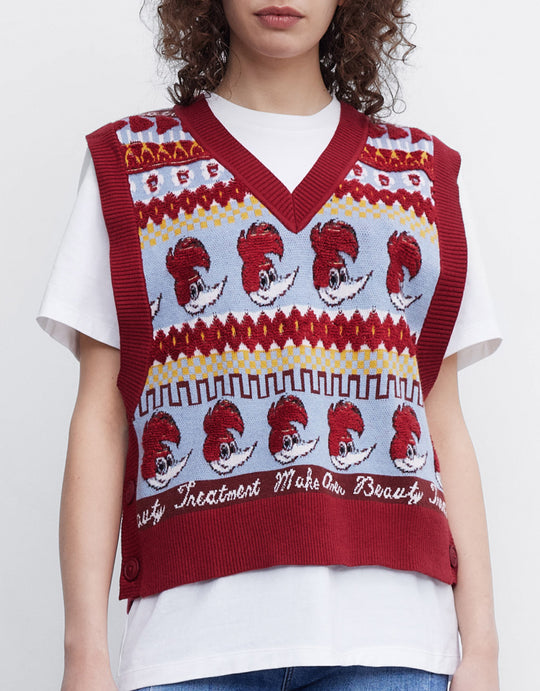 딱따구리 우디 스웨터 조끼